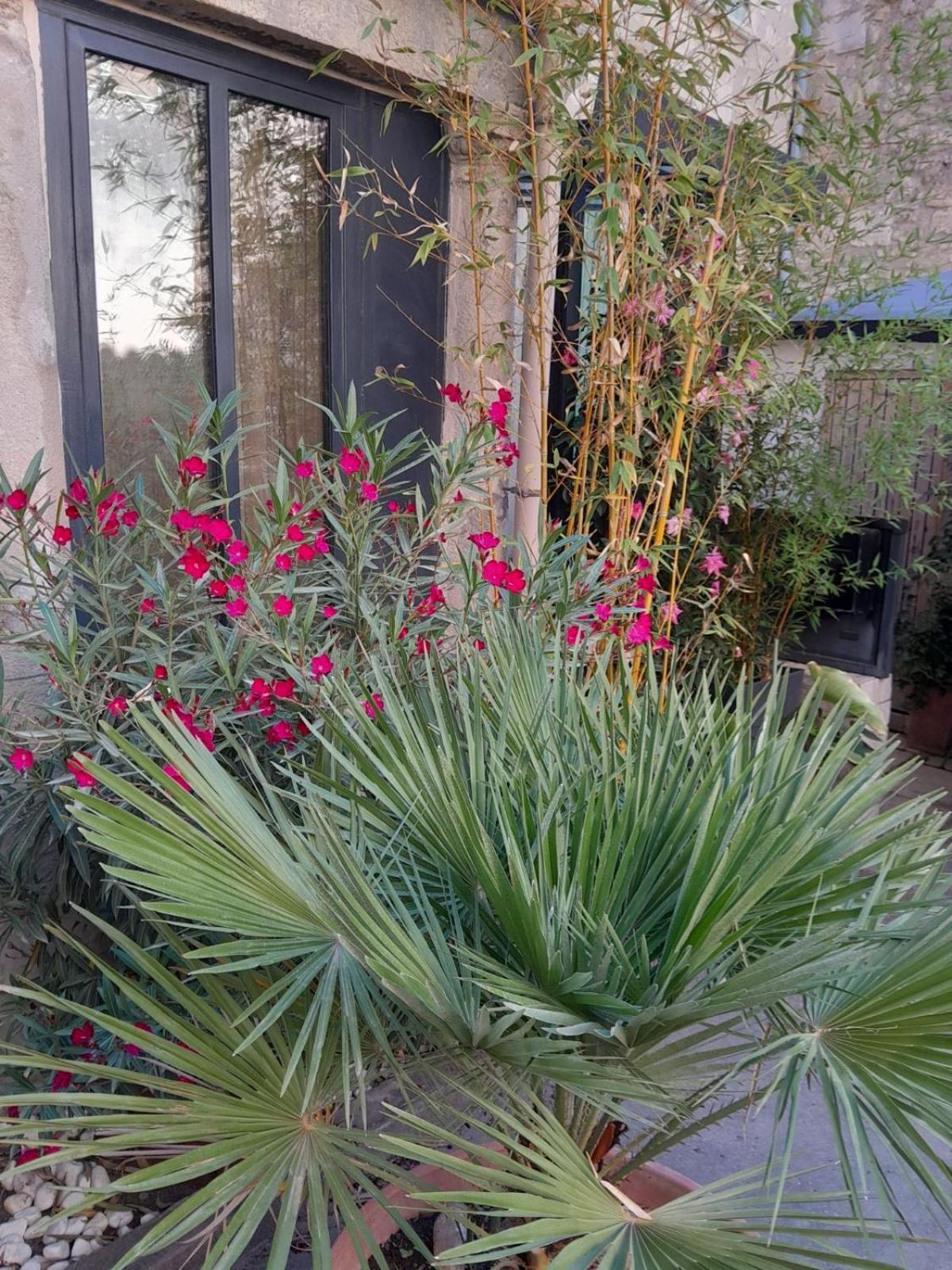 Le Clos Du Rouet Tarascon Exterior photo